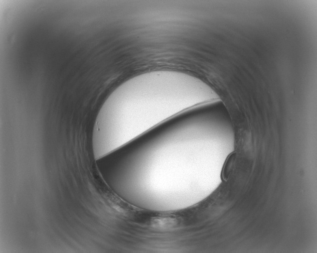 X0000066940220200603240943