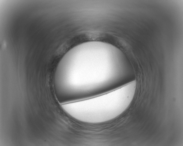 X0000066940221200603240943