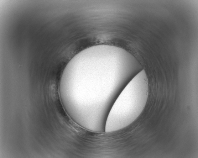 X0000066940222200603240943