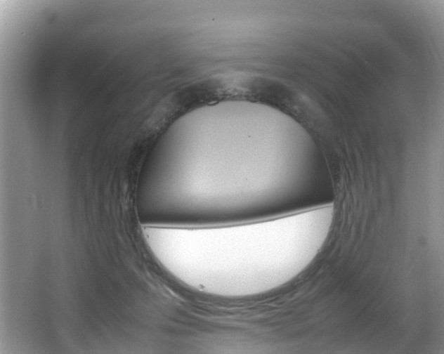 X0000066940223200603240943