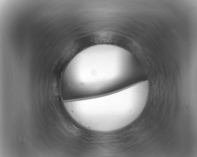 X0000066940224200603240943