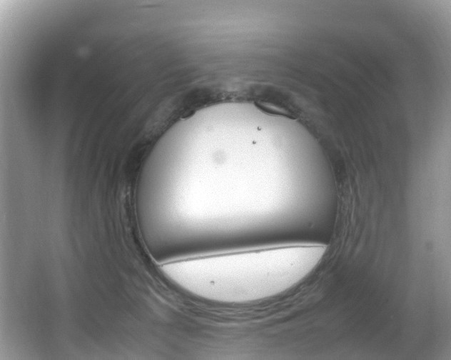 X0000066940225200603240943