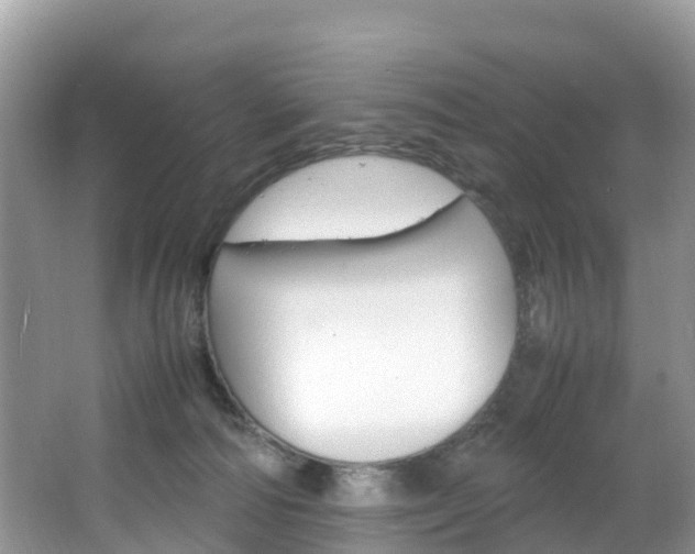 X0000066940226200603240943