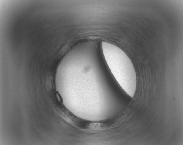 X0000066940227200603240943