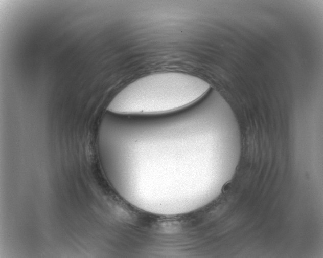 X0000066940228200603240943