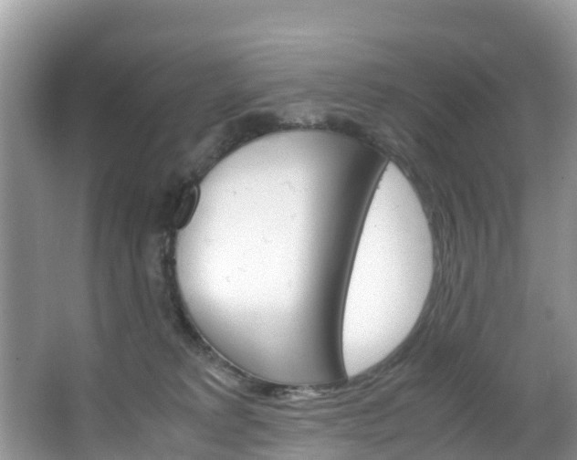 X0000066940229200603240943