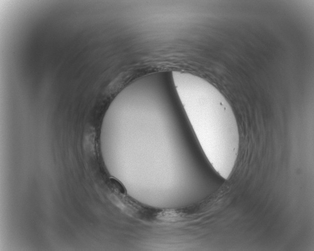 X0000066940231200603240943