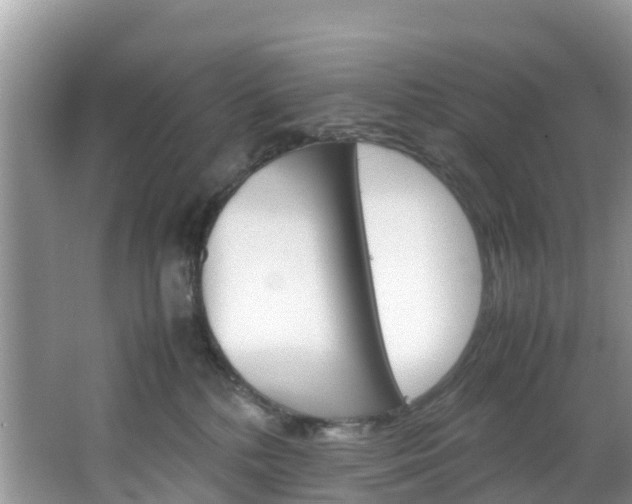 X0000066940232200603240943