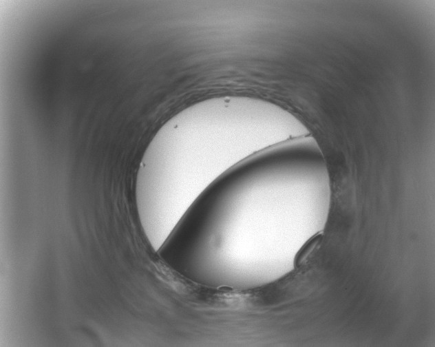 X0000066940233200603240943