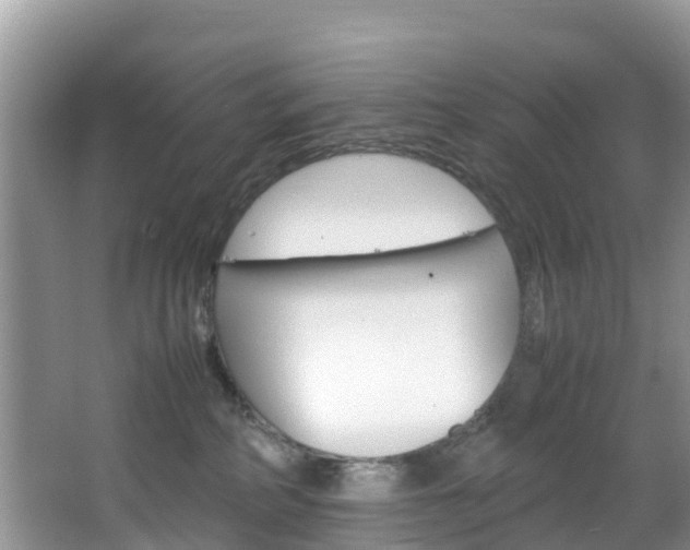 X0000066940234200603240943