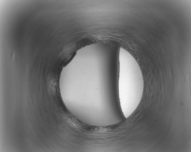 X0000066940235200603240943