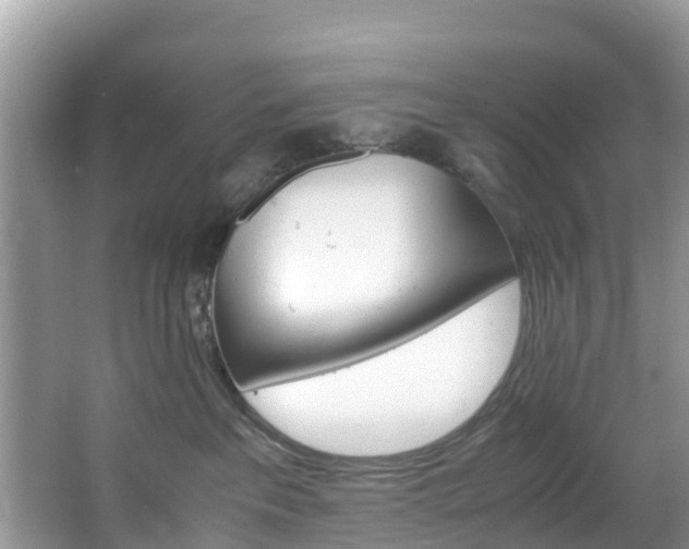 X0000066940237200603240942