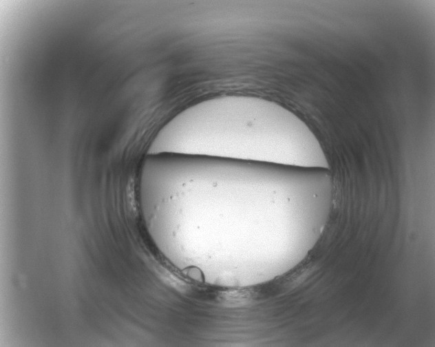 X0000066940238200603240942