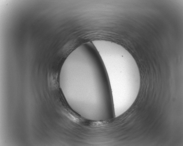 X0000066940239200603240942