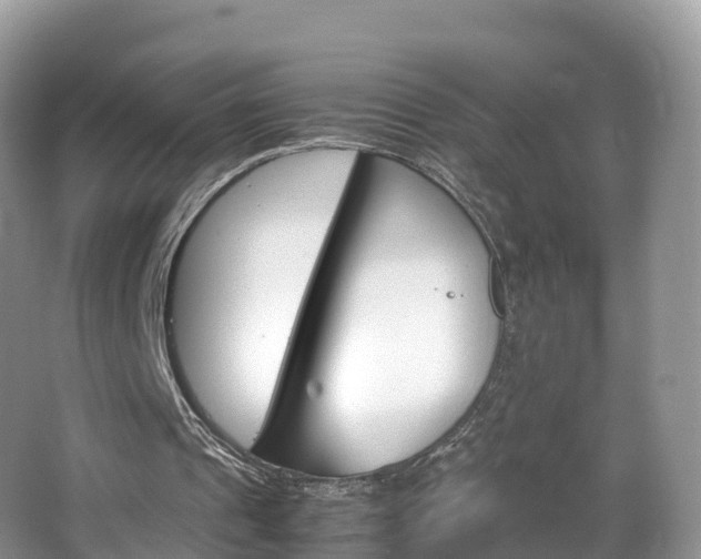 X0000066940241200603240942