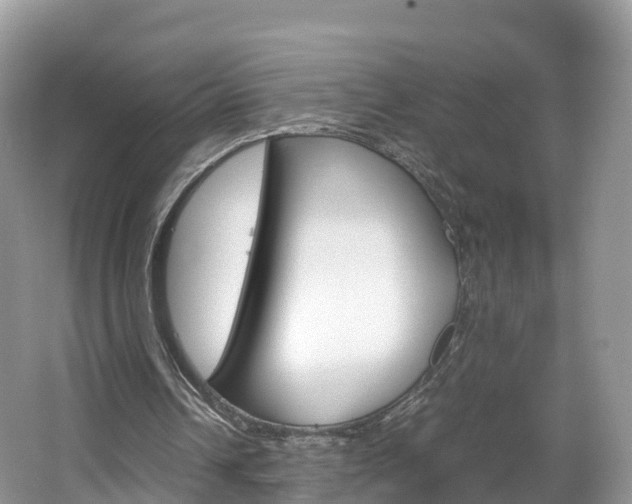 X0000066940242200603240942