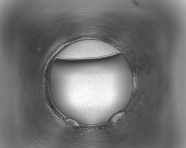 X0000066940243200603240942