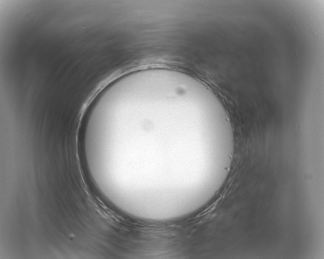 X0000066940244200603240942