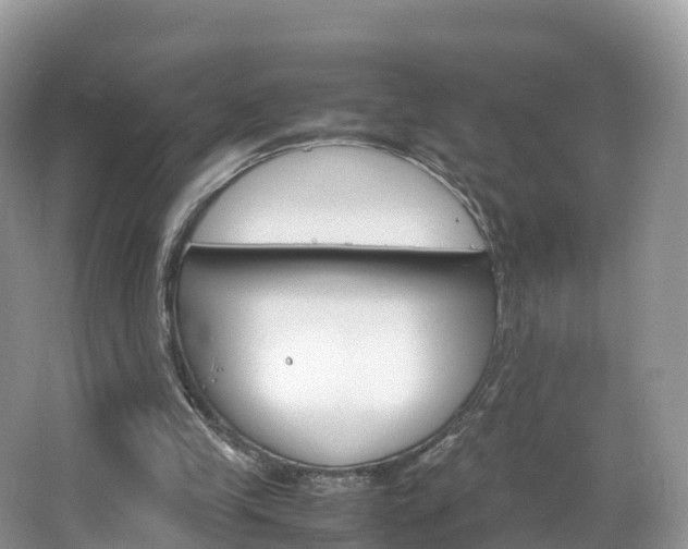 X0000066940245200603240942