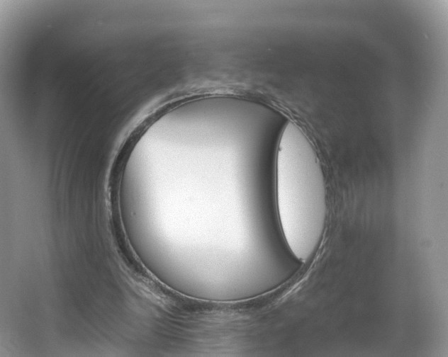 X0000066940246200603240942