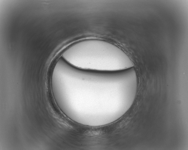 X0000066940247200603240942