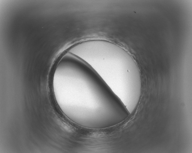 X0000066940248200603240942