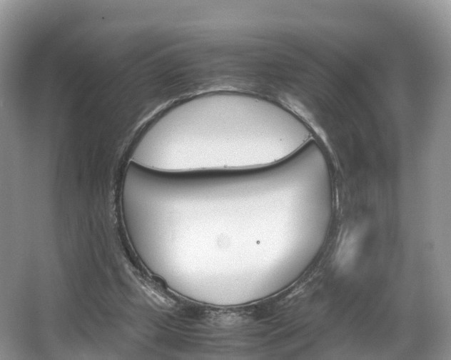 X0000066940249200603240942