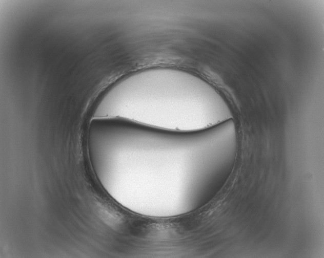 X0000066940250200603240942