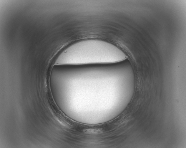 X0000066940251200603240942