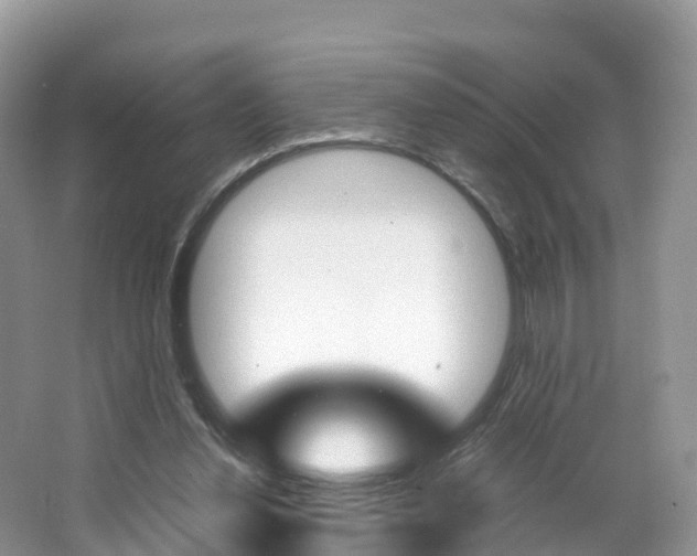 X0000066940252200603240942