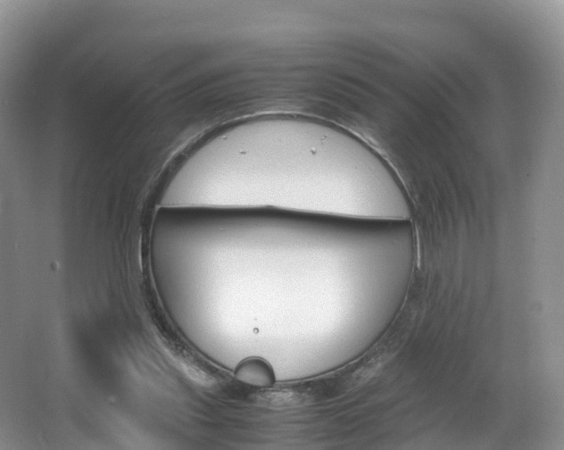 X0000066940253200603240942