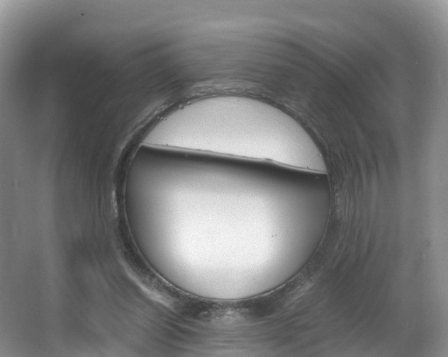 X0000066940254200603240942