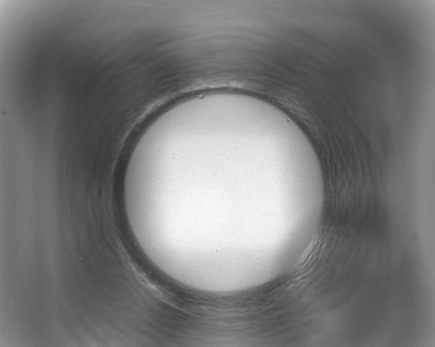 X0000066940256200603240942