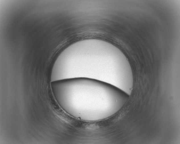 X0000066940258200603240942