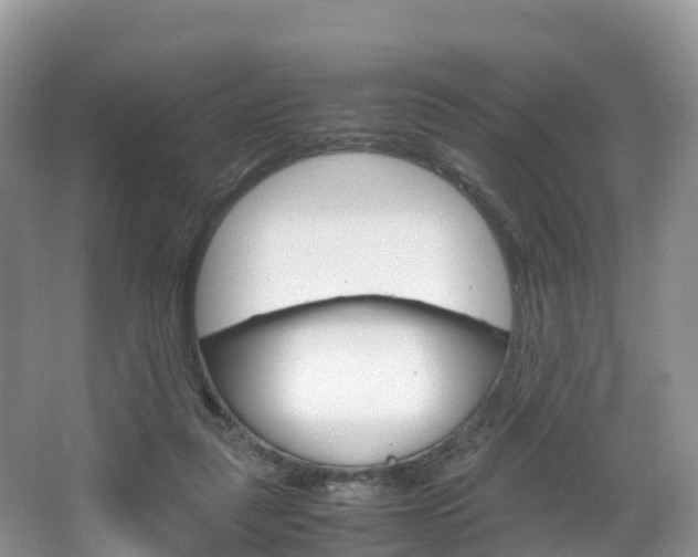 X0000066940259200603240942