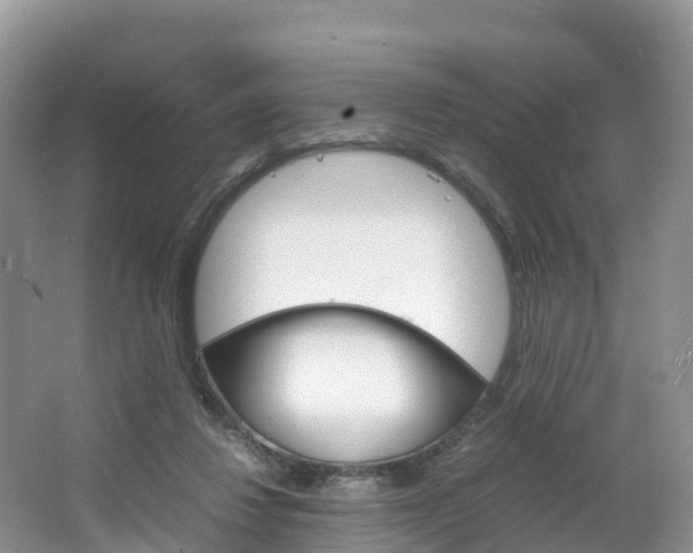 X0000066940260200603240942