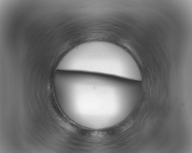 X0000066940261200603240942