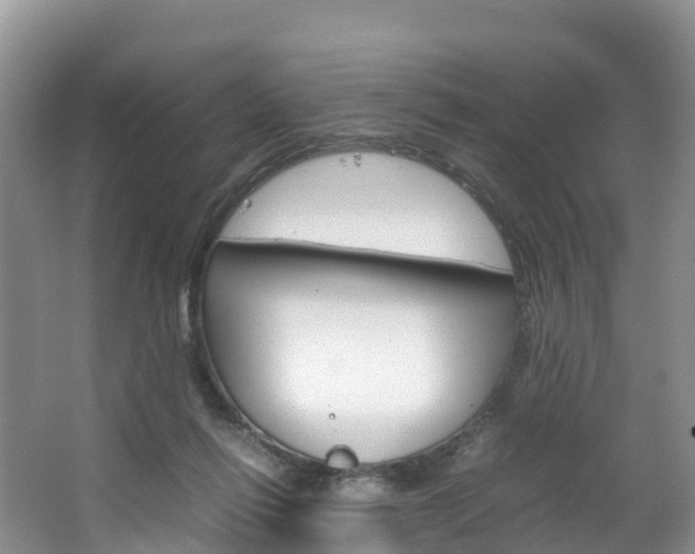 X0000066940262200603240942