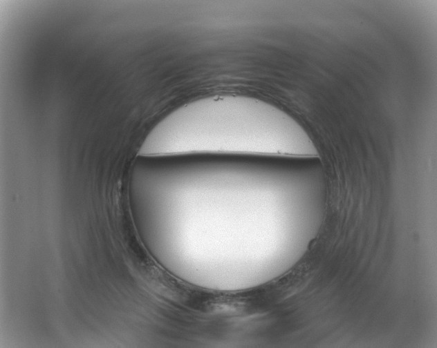 X0000066940263200603240942