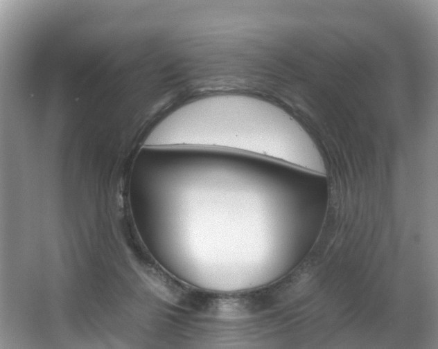 X0000066940264200603240942