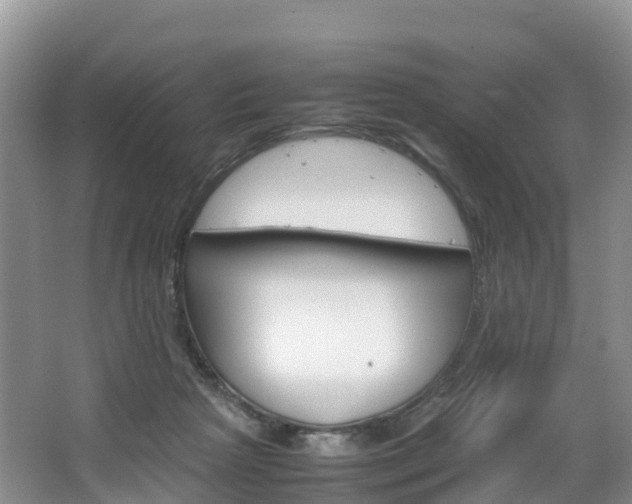 X0000066940265200603240942