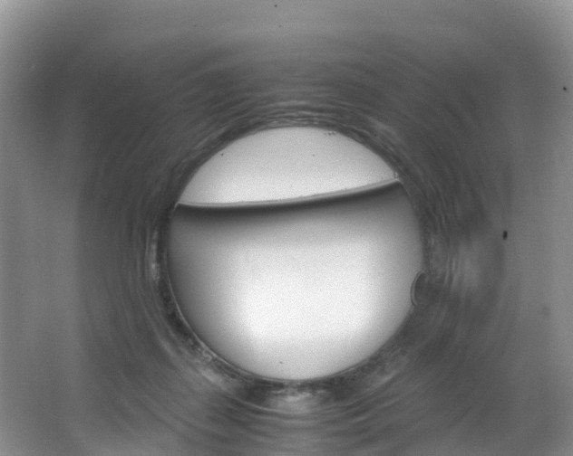 X0000066940267200603240942