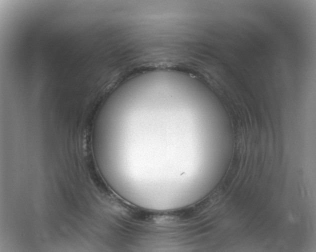 X0000066940268200603240942