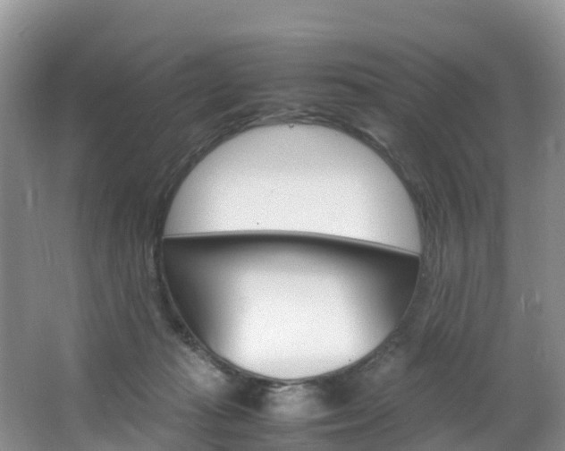 X0000066940269200603240942