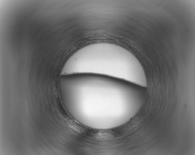 X0000066940270200603240942