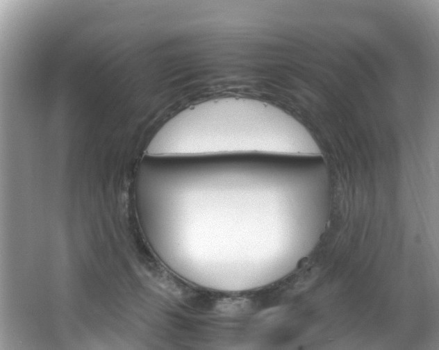 X0000066940271200603240942