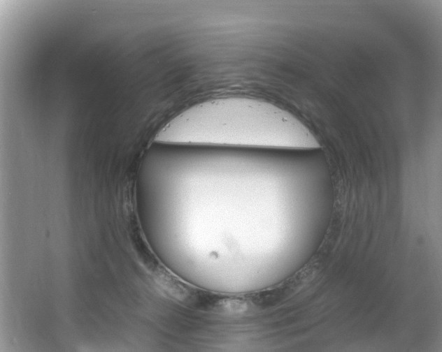 X0000066940272200603240942