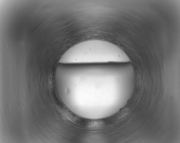 X0000066940274200603240942