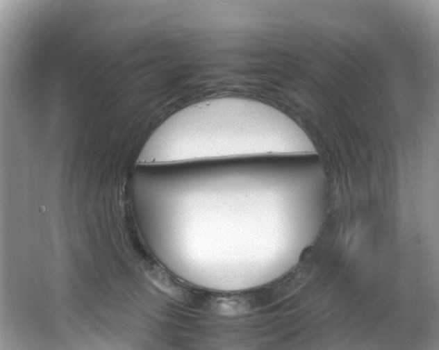 X0000066940275200603240942