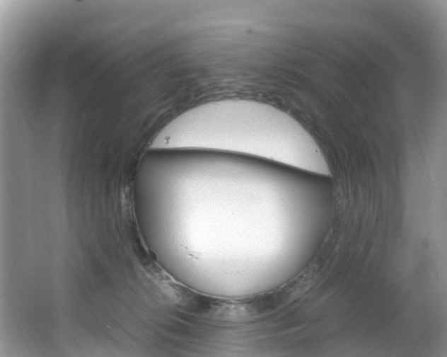 X0000066940276200603240942